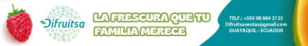 Disfruitsa